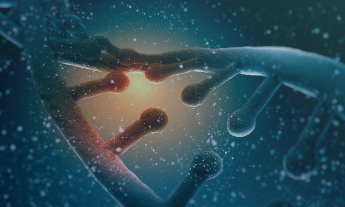 ARTÍCULOS 588 Comparación esquemas tablas origen y destino con SSIS - Verne Group