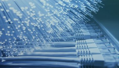 Tengo fibra pero, ¿cuál de ellas? 3 Tengo fibra, pero ¿cuál de todas - Verne Group